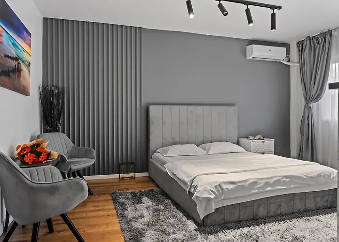 Garsoniera Regim Hotelier LUX Hanul Drumetului